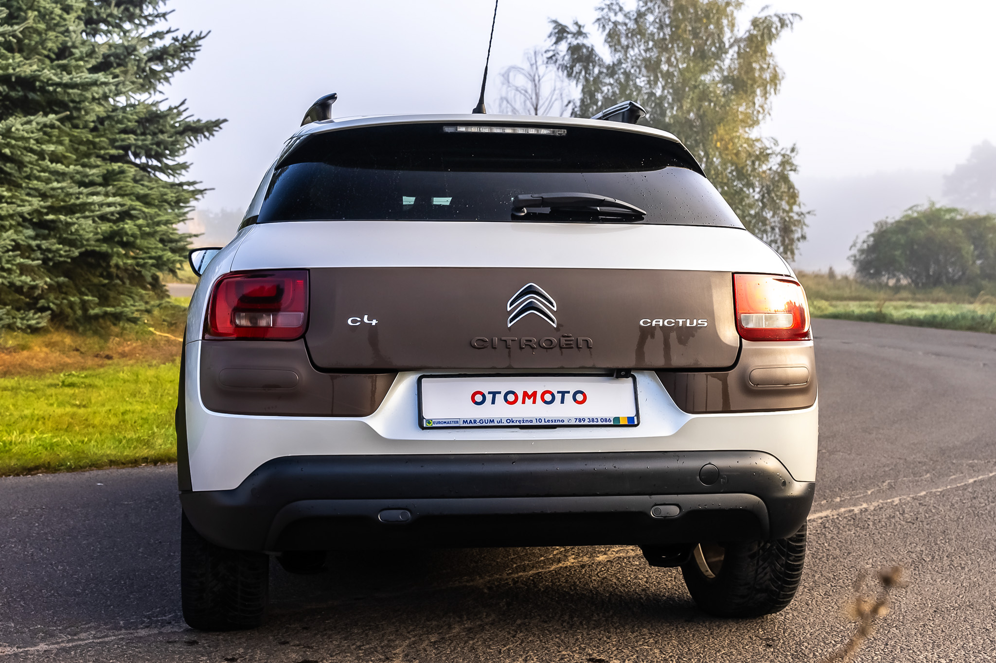 Citroen C4 Cactus - Idealny do miejskiej dungli | Test OTOMOTO TV